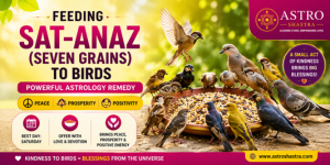 Feeding Sat-Anaz (Seven Grains) to Birds – Powerful Astrology Remedy for Peace & Prosperity