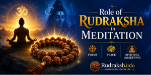 Role of Rudraksha in Meditation Practices: Enhancing Focus, Peace, and Spiritual Growth